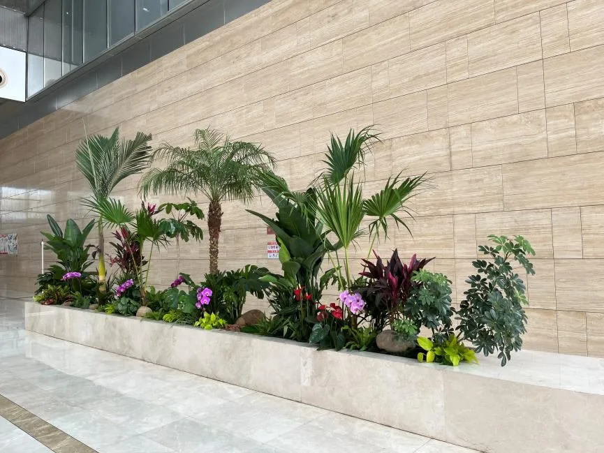 想让环境更出众？宁波奉化盆景出租别错过